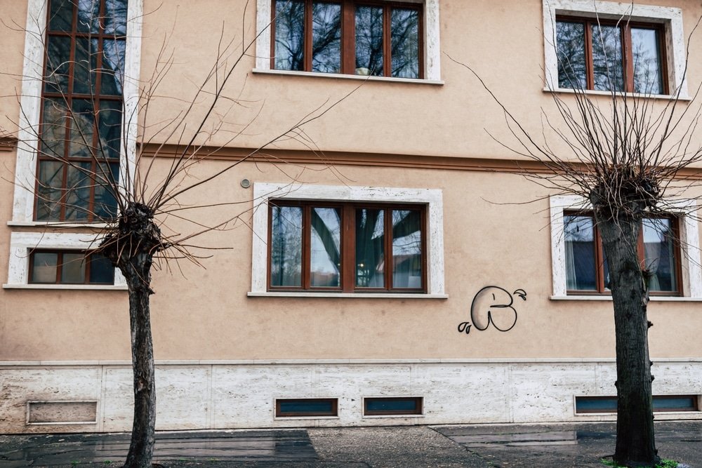 Graffiti verwijderen Groningen met inspectie van VvE-muren, portieken, fietsenstallingen en afvalpunten in Groningen