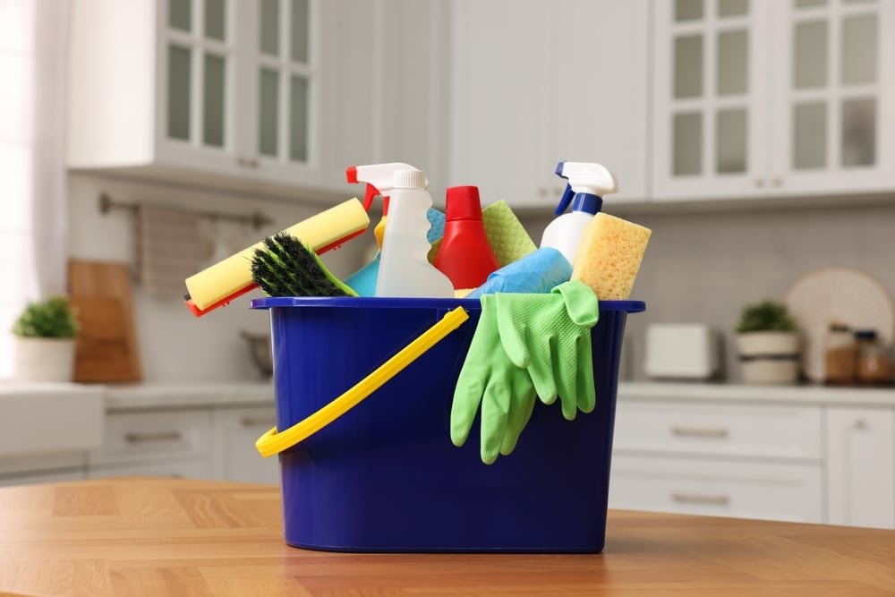 shutterstock 2497007929