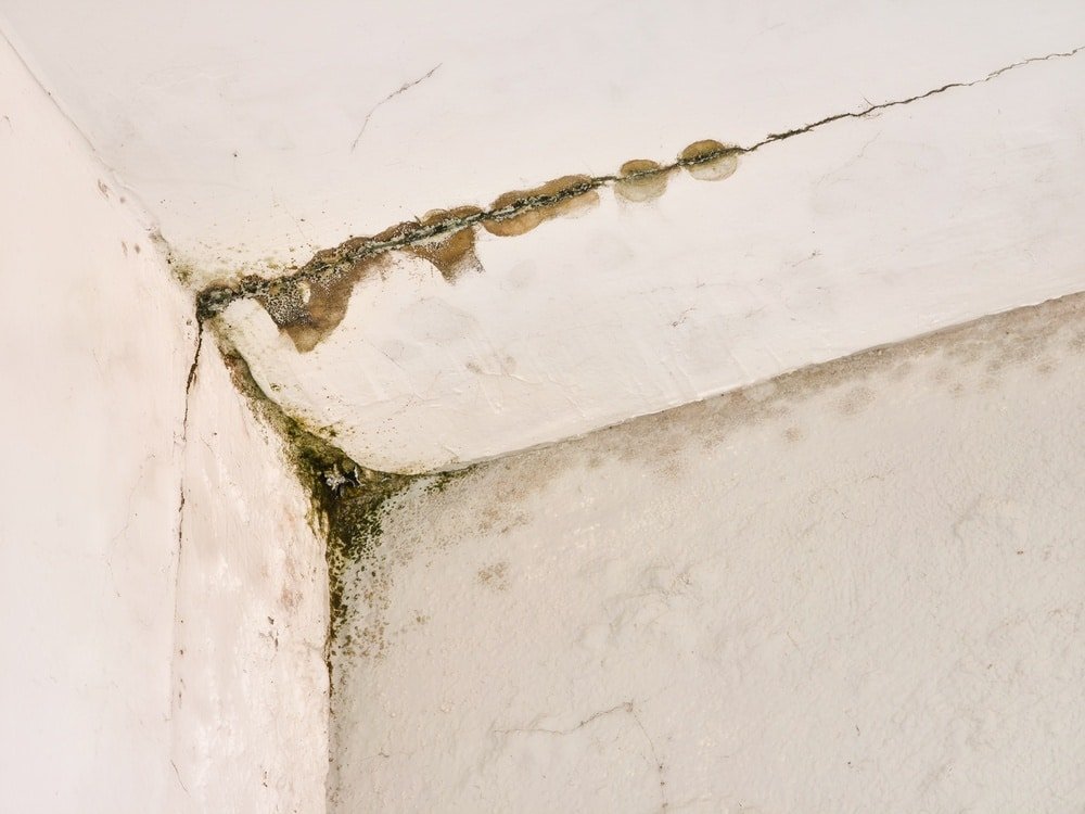Vocht in huis door gevel of muurprobleem